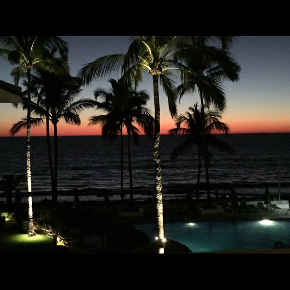 Meet your Posher, Dee - Picture 1 of 1